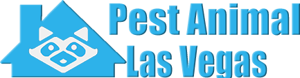 Pest Animal Removal Las Vegas